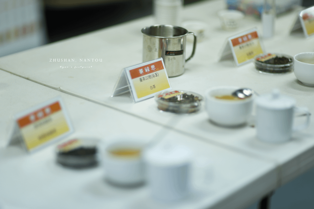茶毅思.png