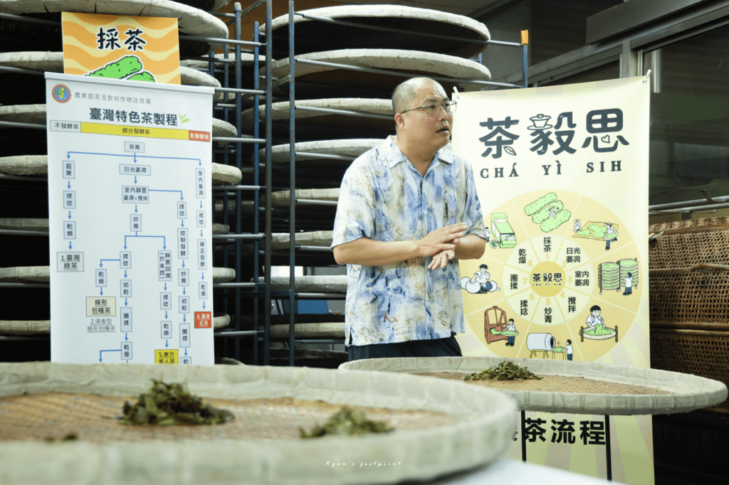茶毅思 揉茶體驗.png