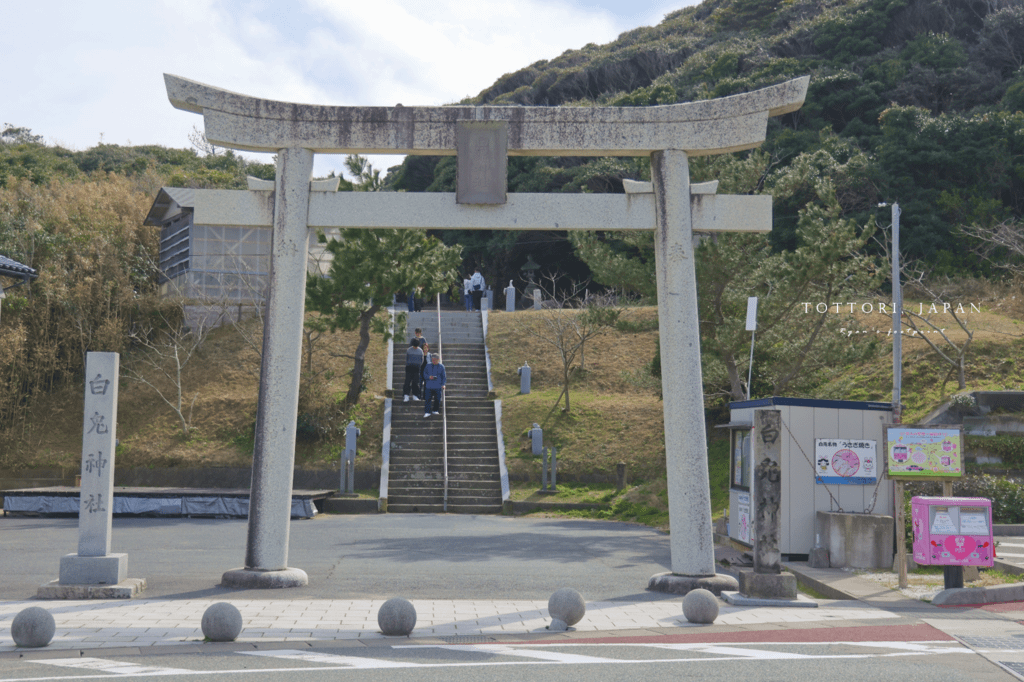 白兔神社 介紹.png