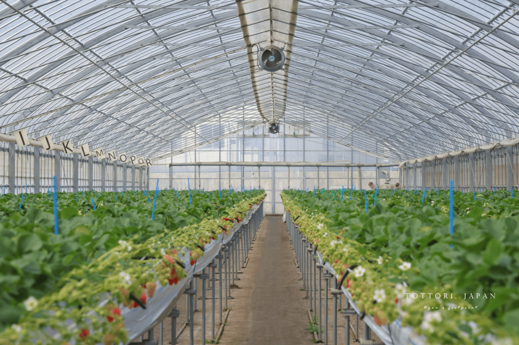 鳥取草莓 Re-tori Farm.png