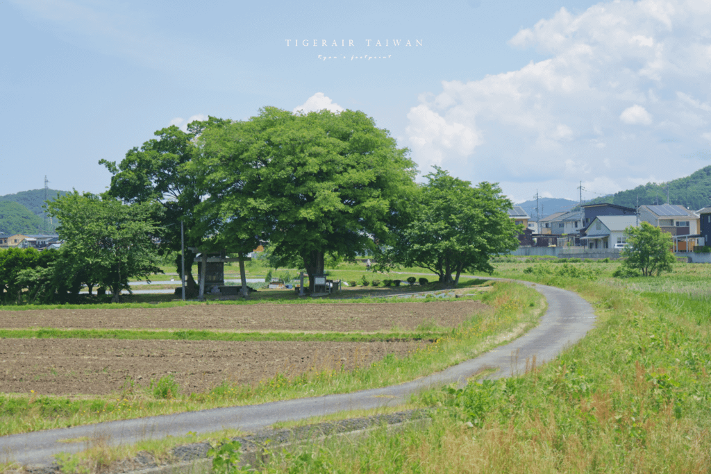 鳥取 福本白兎神社.png