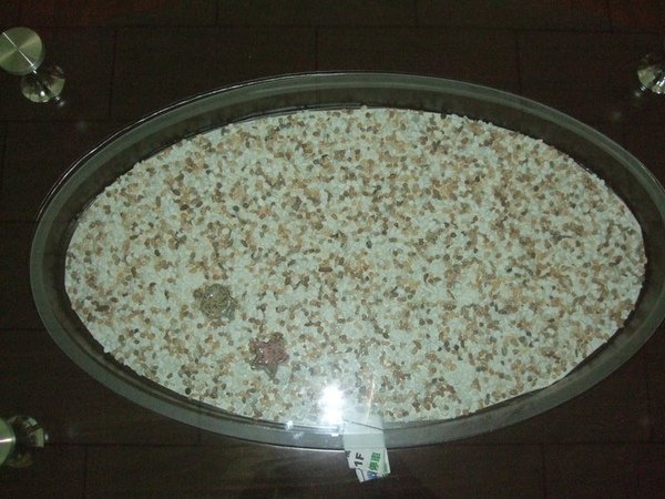 DSCF1753.jpg