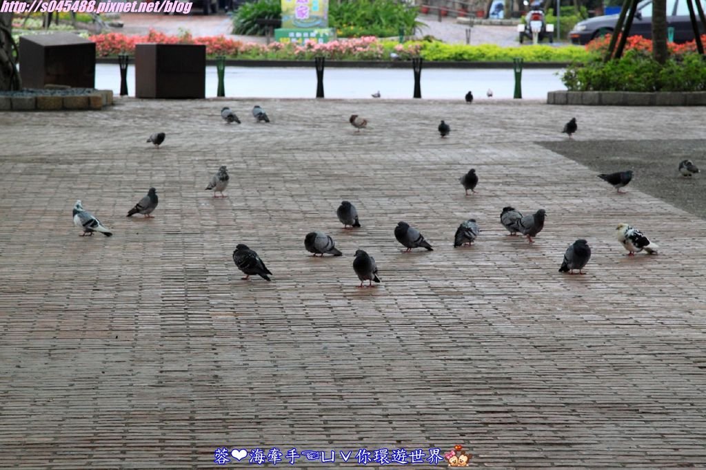 [宜蘭景點]丟丟噹森林廣場(宜蘭火車站)，宛如阿凡達的場景，