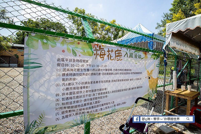 雲林景點：古坑鹿營親子農場～沒玩半天出不來！百元親子農場，戲水、滑草、餵小動物、美拍 (55).jpg