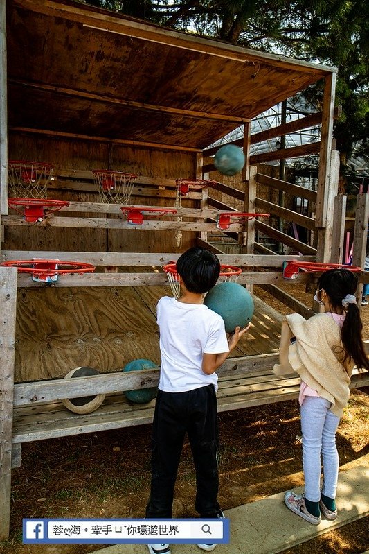 台中親子景點-公老坪休閒農場～免門票玩爆它！不只20種古早味童玩遊戲，美拍場景、景觀餐廳、動物 (38).jpg