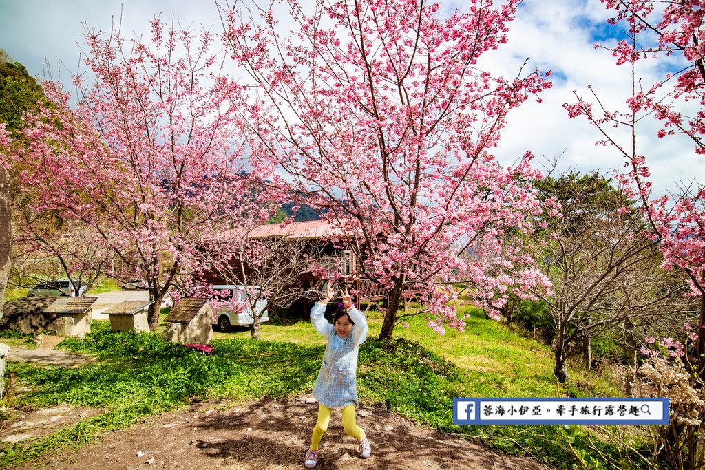 2022司馬庫斯櫻花季-上帝的部落～此生必訪最美秘境！交通方式、櫻花季管制、預約申請表，巨木登山口 (28).jpg