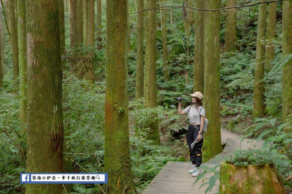 桃園景點-東眼山國家森林遊樂區 (5).jpg