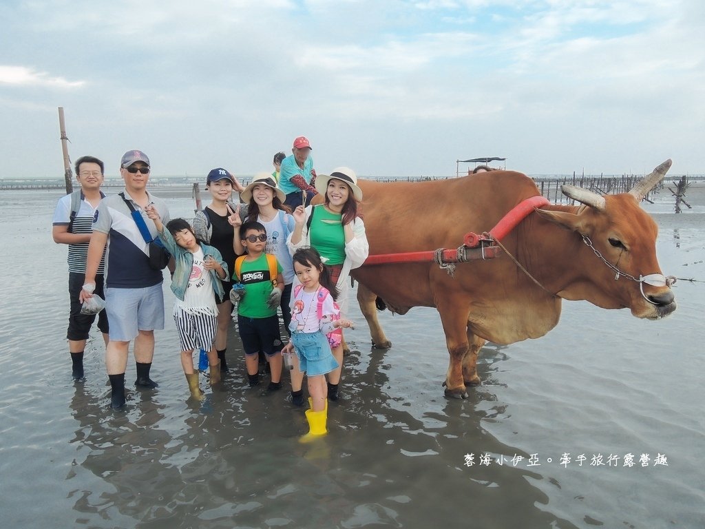 彰化芳苑潮間帶旅遊-阿進帶你採蚵趣 (2).jpg