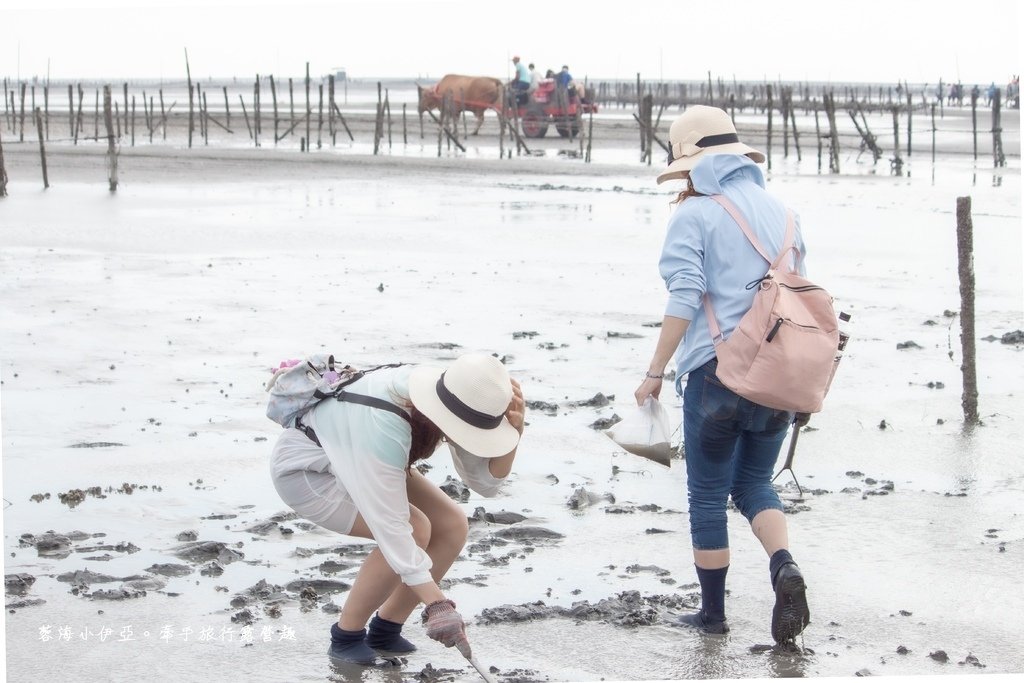 彰化芳苑潮間帶旅遊-阿進帶你採蚵趣 (38).jpg