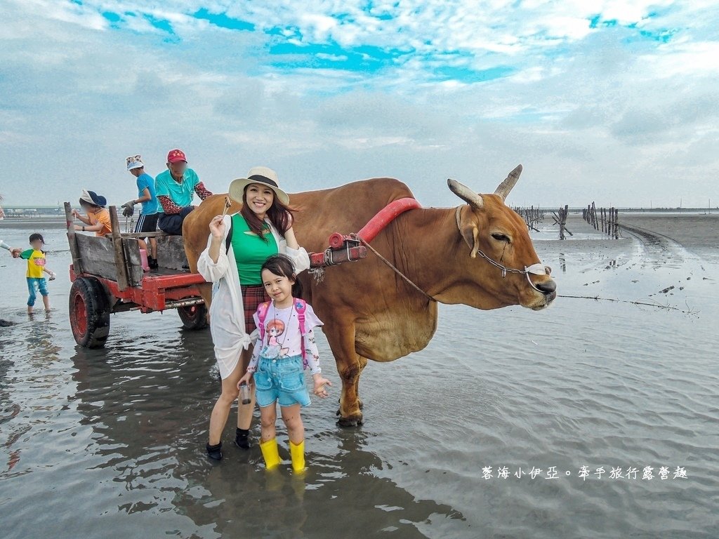 芳苑潮間帶旅遊-阿進帶你採蚵趣.jpg