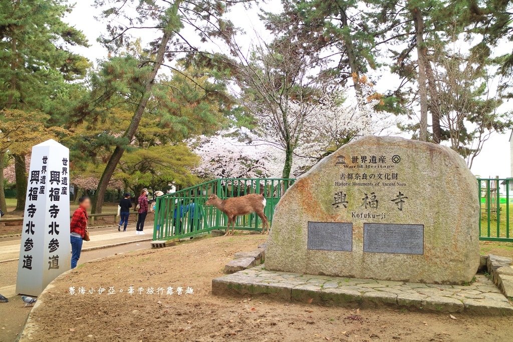 關西自由行-京阪奈親子自由行懶人包 (5).JPG