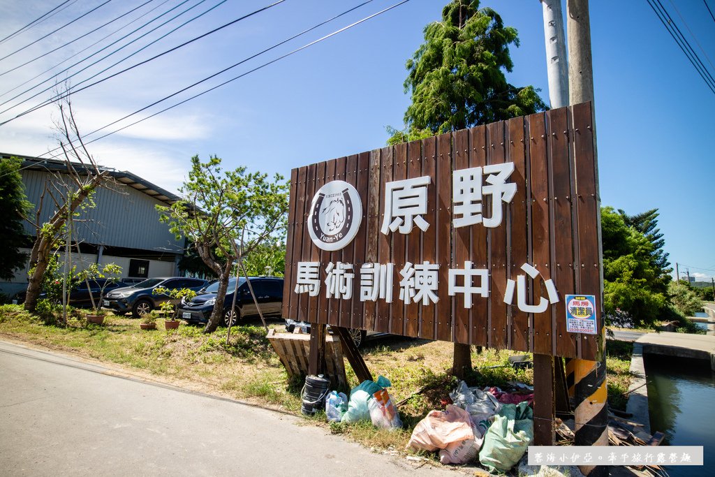 桃園景點【2024大溪韭菜花田】新增六區拍照藝術裝置，9月雪花紛飛，拍到手停不下來