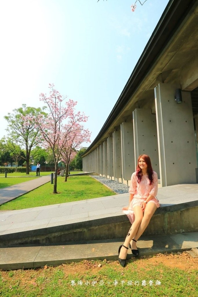 【桃園賞櫻景點】大溪齋明寺，吉野櫻、獨樹一格的清水模建築，意外譜出另類的美感