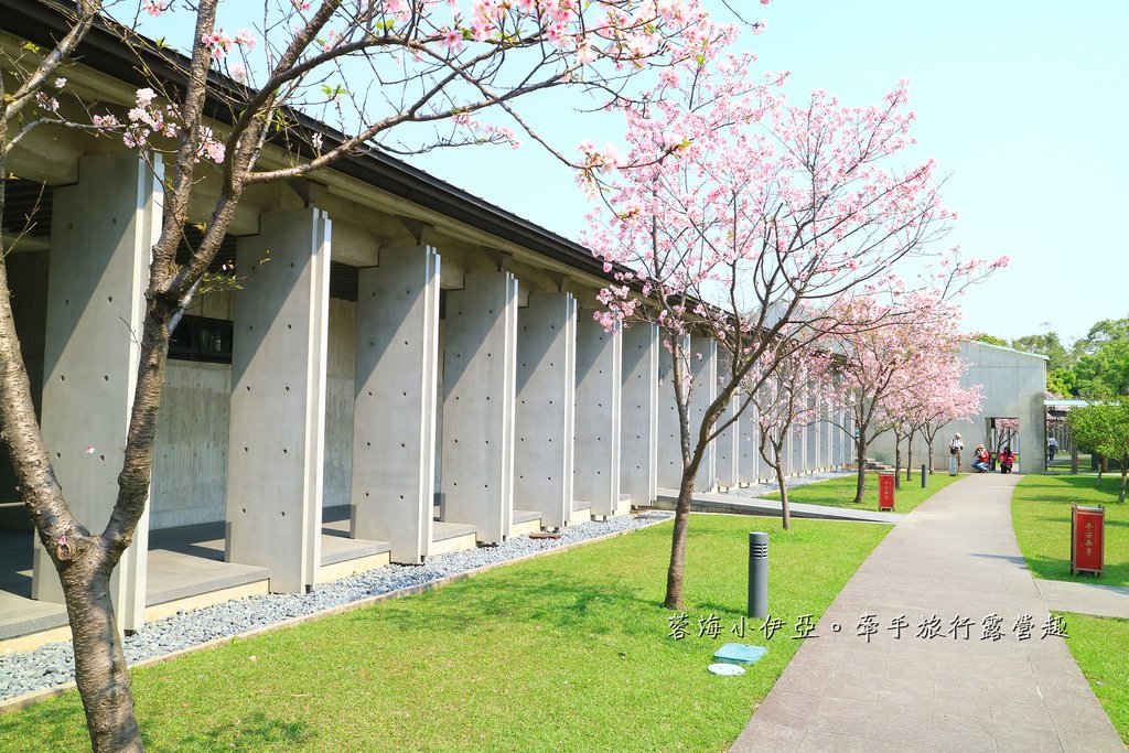 【桃園賞櫻景點】大溪齋明寺，吉野櫻、獨樹一格的清水模建築，意外譜出另類的美感