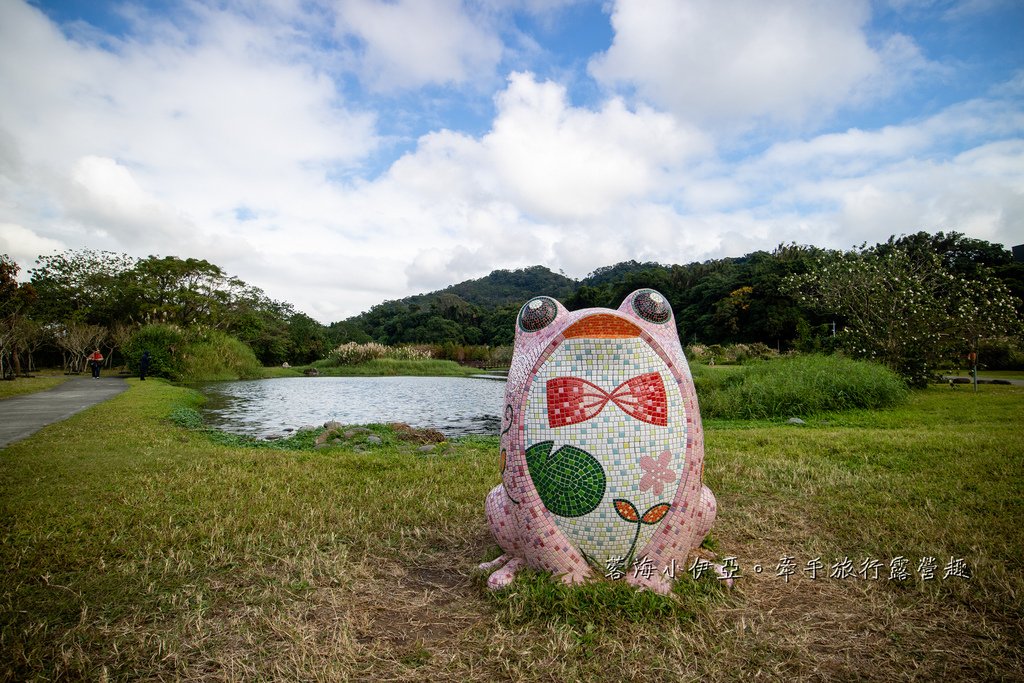 桃園落羽松【月眉人工濕地生態公園】最佳觀賞時間到1月中！3公頃落羽松秘境免費拍，美得像走進歐洲油畫中