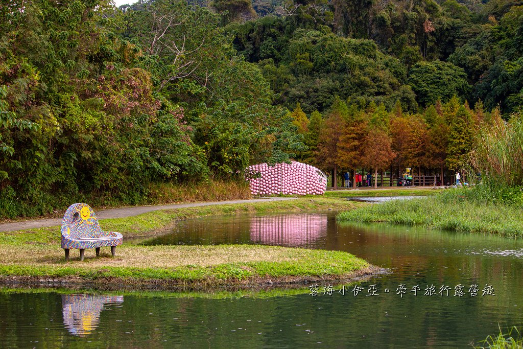 桃園落羽松【月眉人工濕地生態公園】最佳觀賞時間到1月中！3公頃落羽松秘境免費拍，美得像走進歐洲油畫中