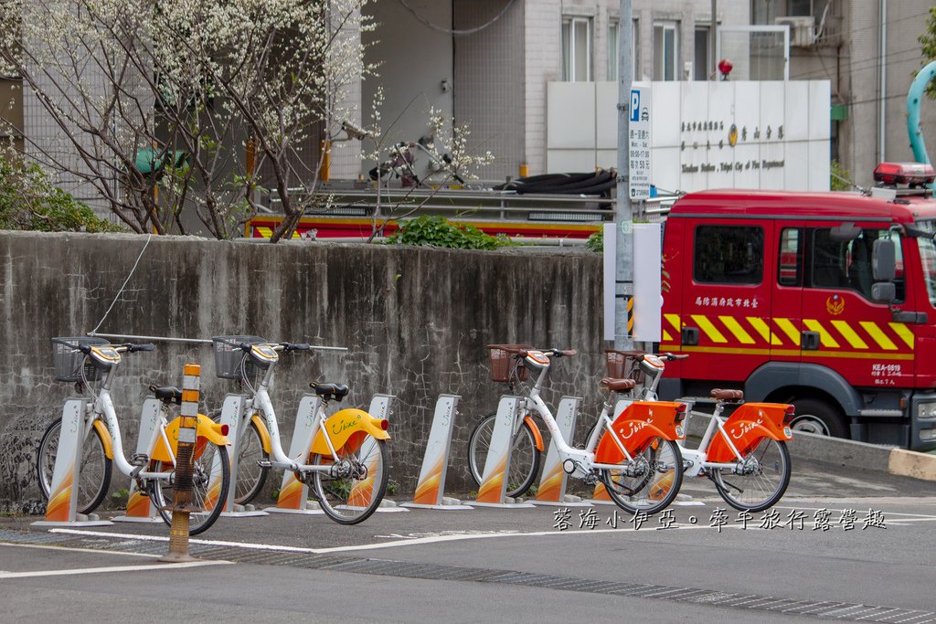 2025北投三層崎花海盛開，彩色浪花漫遊北投！8萬株花卉齊放，假日賞花去(含交通)