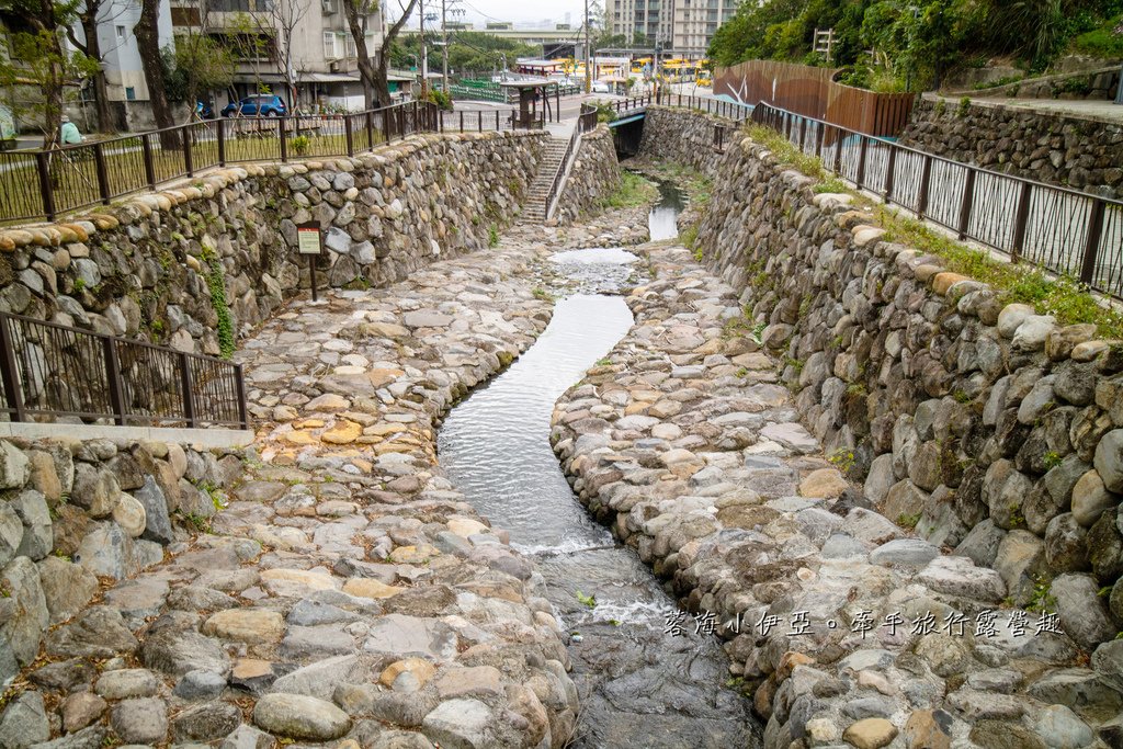 2025北投三層崎花海盛開，彩色浪花漫遊北投！8萬株花卉齊放，假日賞花去(含交通)