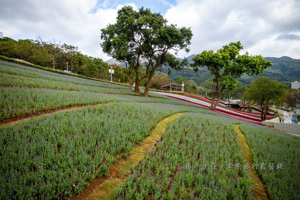 2025北投三層崎花海盛開，彩色浪花漫遊北投！8萬株花卉齊放，假日賞花去(含交通)