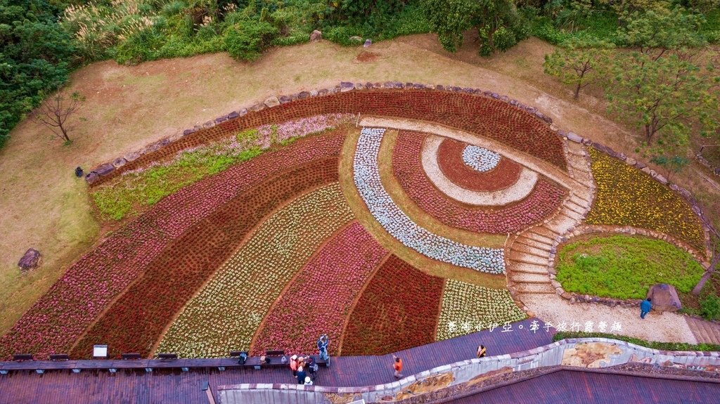 2025北投三層崎花海盛開，彩色浪花漫遊北投！8萬株花卉齊放，假日賞花去(含交通)