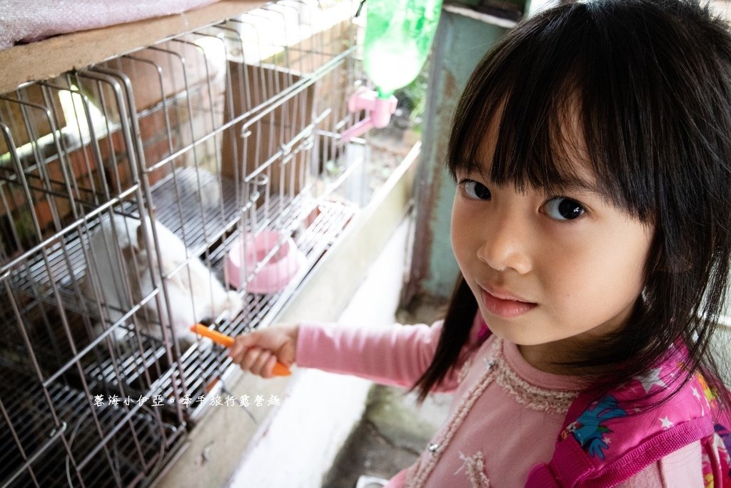 宜蘭員山【可達休閒羊場】銅板價餵動物、DIY造型羊奶饅頭、彩繪陶瓷娃娃，CP值高！