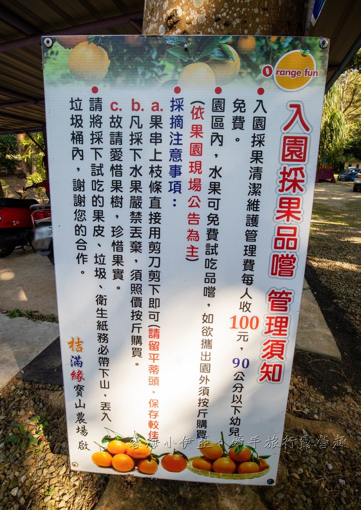 新竹寶山【桔滿緣寶山農場】媲美韓國濟州島美景，100元橘子吃到飽，邊採邊吃還不限時