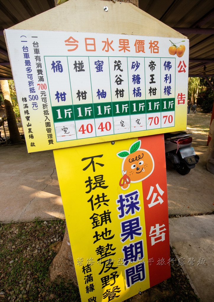 新竹寶山【桔滿緣寶山農場】媲美韓國濟州島美景，100元橘子吃到飽，邊採邊吃還不限時