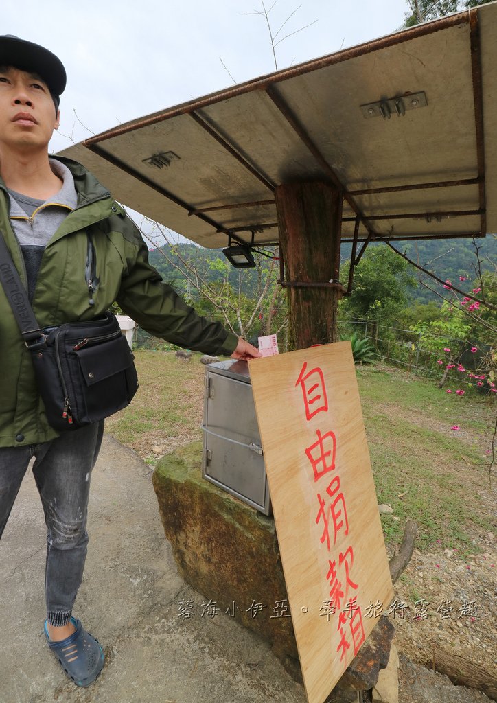 宜蘭冬山【松櫻秘境】居然有免費拍照的賞櫻秘境！種植500棵八重櫻和吉野櫻，櫻花鳥居秒飛日本