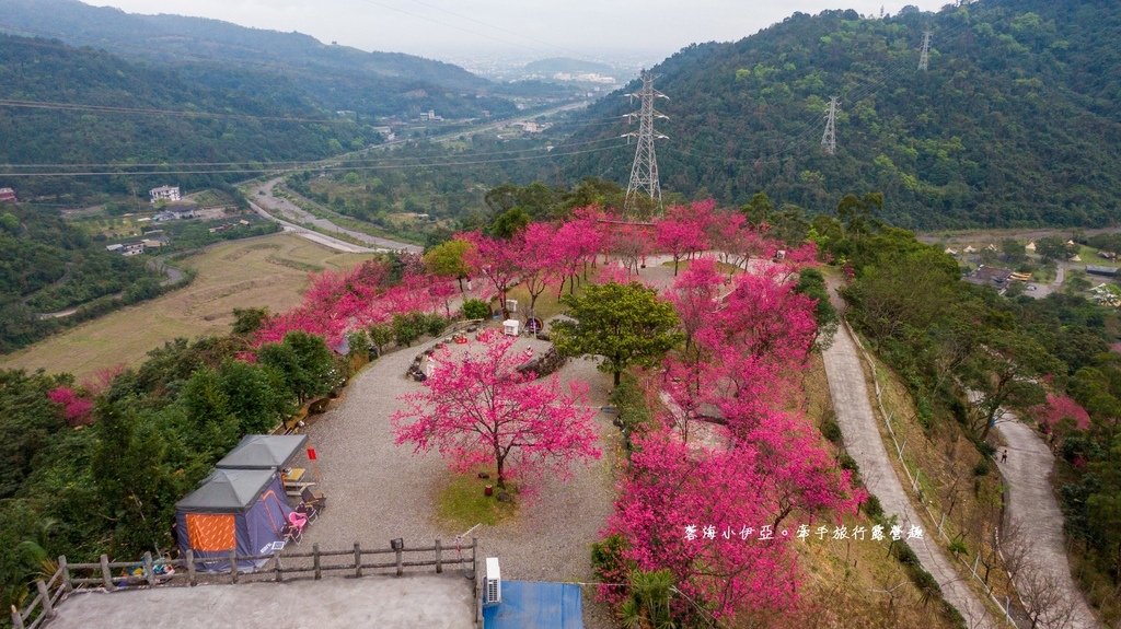 宜蘭冬山【松櫻秘境】居然有免費拍照的賞櫻秘境！種植500棵八重櫻和吉野櫻，櫻花鳥居秒飛日本