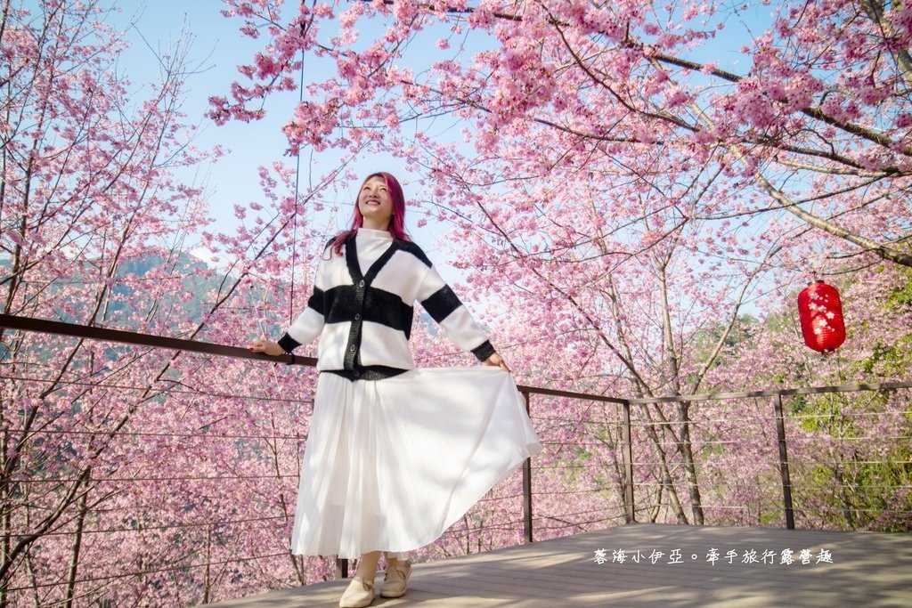 新竹賞櫻【2025霞喀羅櫻花谷】最難抵達的櫻花谷賞櫻秘境，不用去日本就有超美粉色富士櫻