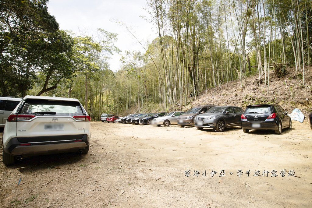 【2025雲林石壁草嶺櫻花季】草嶺石壁美人谷在哪裡？停車資訊、花況、接駁資訊、石壁櫻花季山村市集