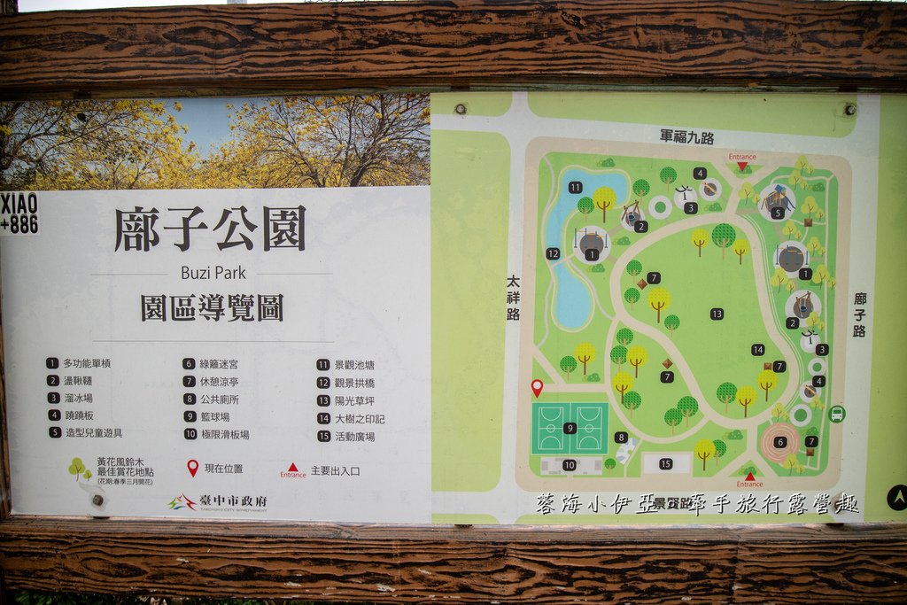 2025黃金風鈴木！台中最美黃風鈴木公園【廍子公園黃風鈴木】即時花況報報