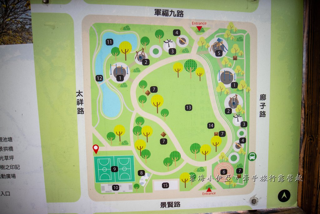 2025黃金風鈴木！台中最美黃風鈴木公園【廍子公園黃風鈴木】即時花況報報