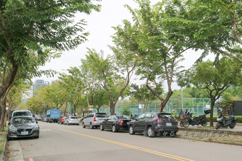 2025黃金風鈴木！台中最美黃風鈴木公園【廍子公園黃風鈴木】即時花況報報