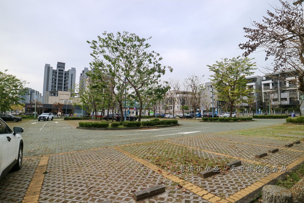 2025黃金風鈴木！台中最美黃風鈴木公園【廍子公園黃風鈴木】即時花況報報