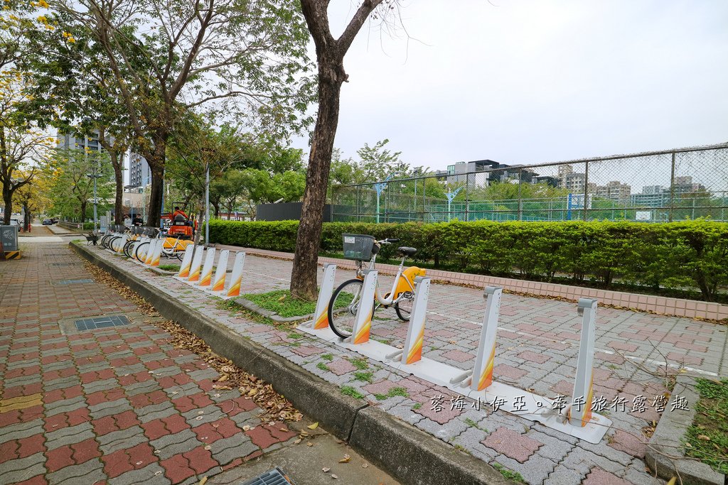2025黃金風鈴木！台中最美黃風鈴木公園【廍子公園黃風鈴木】即時花況報報