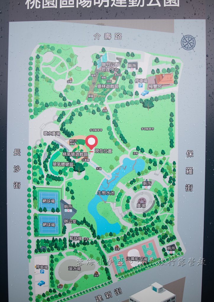 【陽明運動公園2.0版共融式遊戲場】桃氣猿遊戲場、猿林遊戲區、猿氣體健區、噴水廣場、生態水池