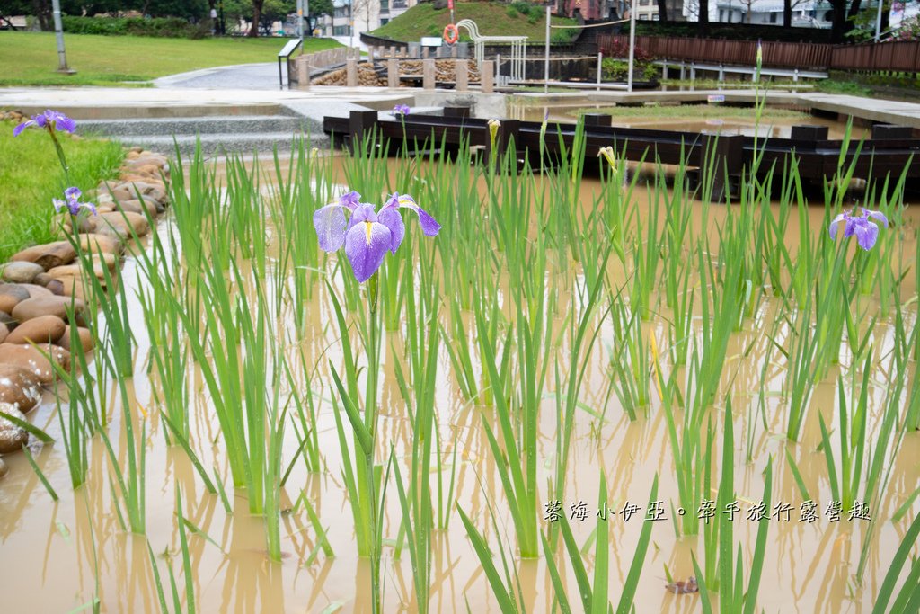 【陽明運動公園2.0版共融式遊戲場】桃氣猿遊戲場、猿林遊戲區、猿氣體健區、噴水廣場、生態水池