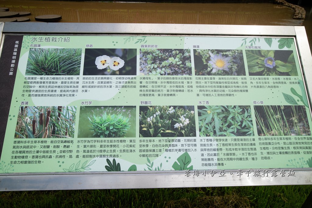 【陽明運動公園2.0版共融式遊戲場】桃氣猿遊戲場、猿林遊戲區、猿氣體健區、噴水廣場、生態水池