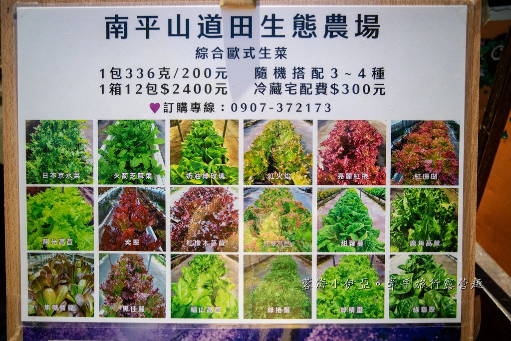 南投埔里【南平山道田生態農場】（鎮山宮）免費賞花～錫葉藤秘境，超美紫色隧道