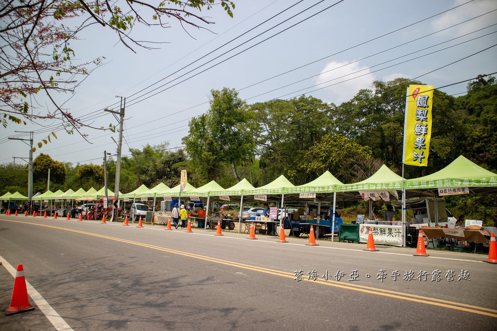 【2025彰化二水花旗木鐵道】全台最美花旗木鐵道，刷一整排粉色，花旗木盛開熱映中
