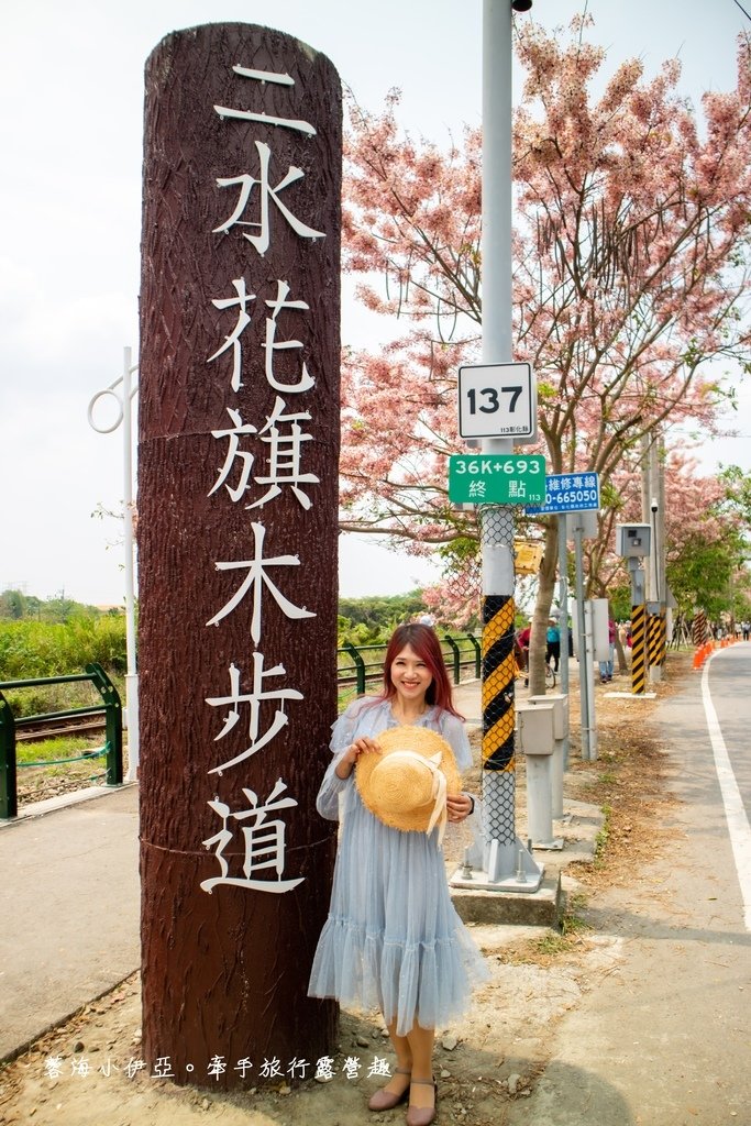 【2025彰化二水花旗木鐵道】全台最美花旗木鐵道，刷一整排粉色，花旗木盛開熱映中