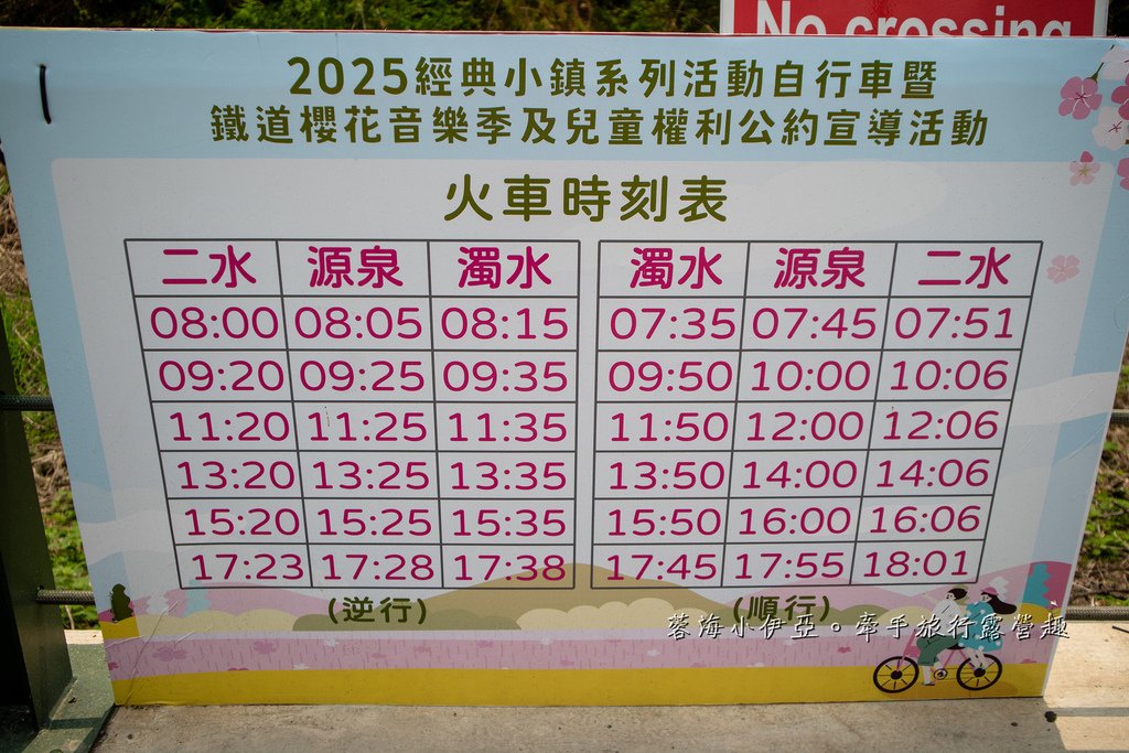 【2025彰化二水花旗木鐵道】全台最美花旗木鐵道，刷一整排粉色，花旗木盛開熱映中