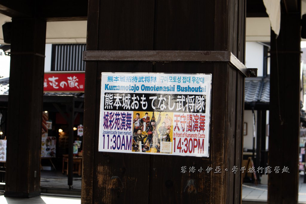 【2025年熊本城櫻花情報】跟著麗星郵輪賞櫻趣，熊本城最佳賞