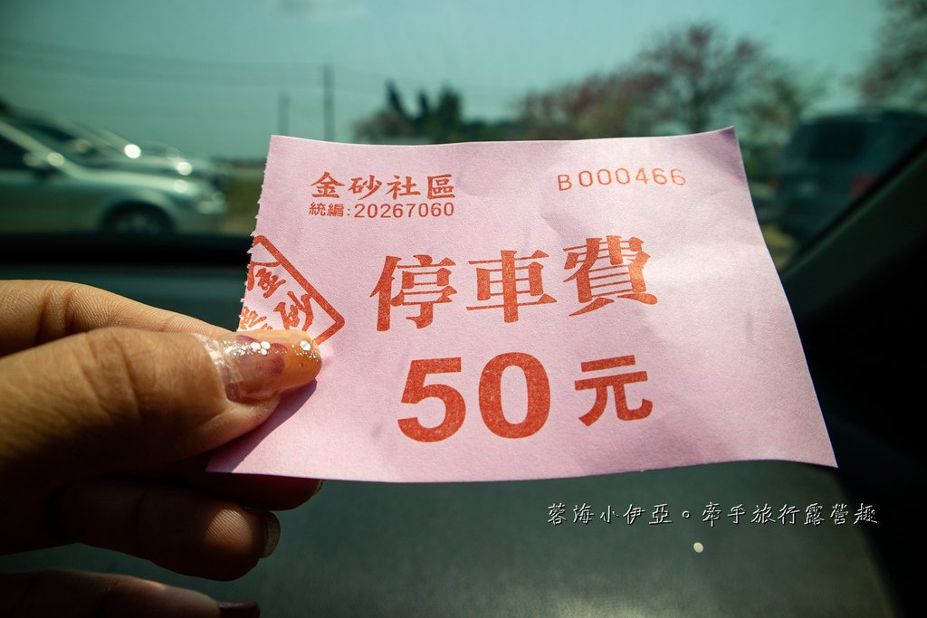 台南花旗木【西港金砂里花旗木步道】最美花旗木步道，不輸櫻花，