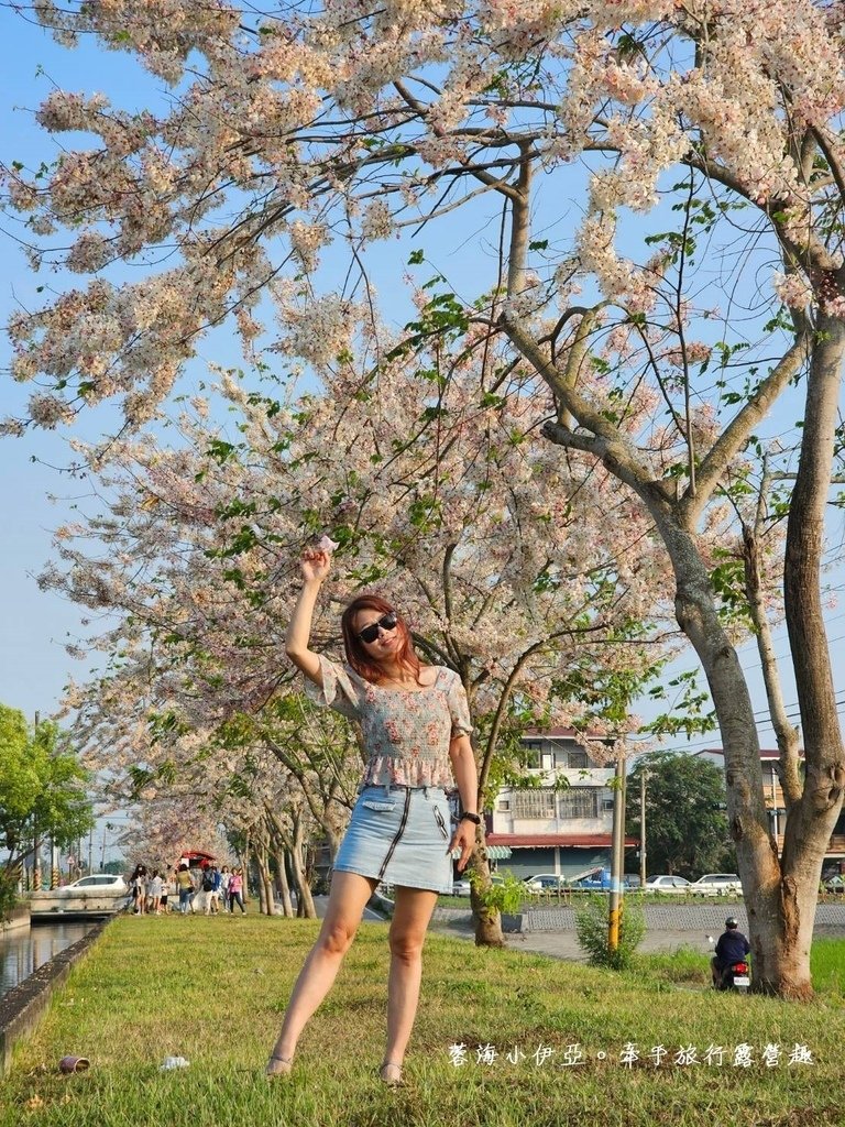 高雄【美圳露營區】與【美濃獅子頭水圳驛站】最美花旗木水道，花旗木下露營超浪漫的啦