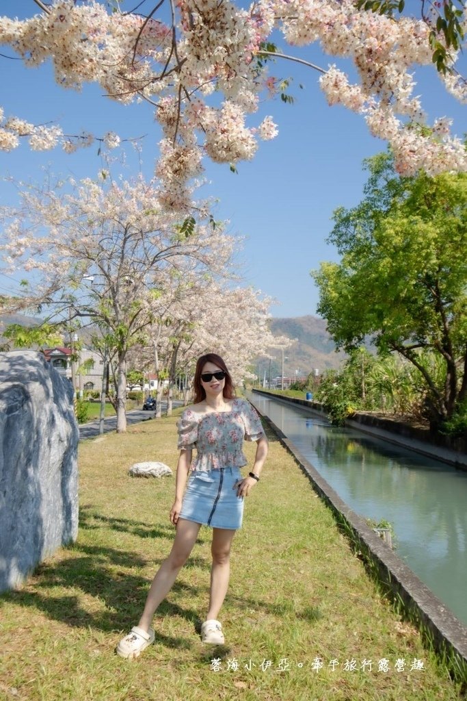 高雄【美圳露營區】與【美濃獅子頭水圳驛站】最美花旗木水道，花旗木下露營超浪漫的啦