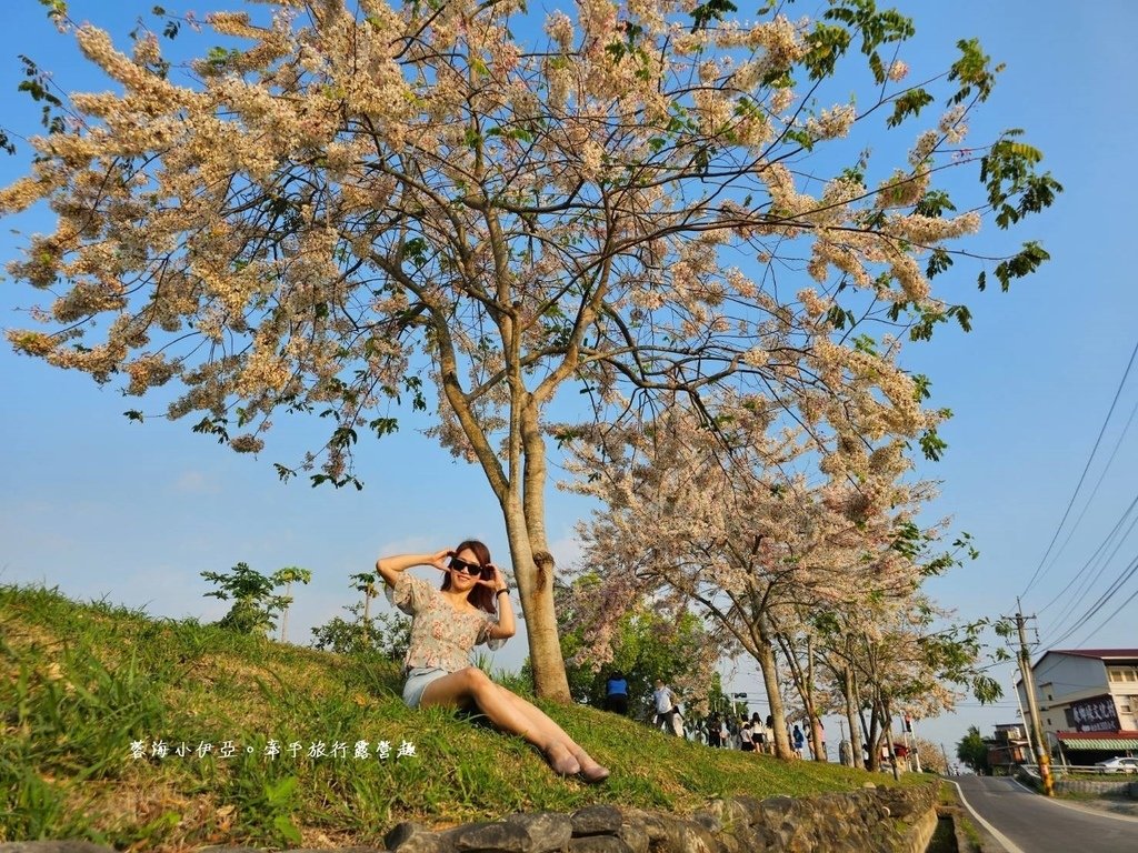 高雄【美圳露營區】與【美濃獅子頭水圳驛站】最美花旗木水道，花旗木下露營超浪漫的啦