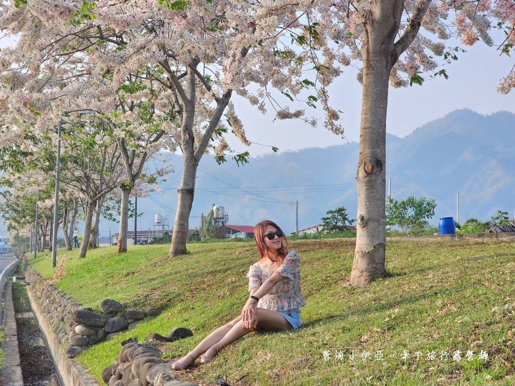 高雄【美圳露營區】與【美濃獅子頭水圳驛站】最美花旗木水道，花旗木下露營超浪漫的啦