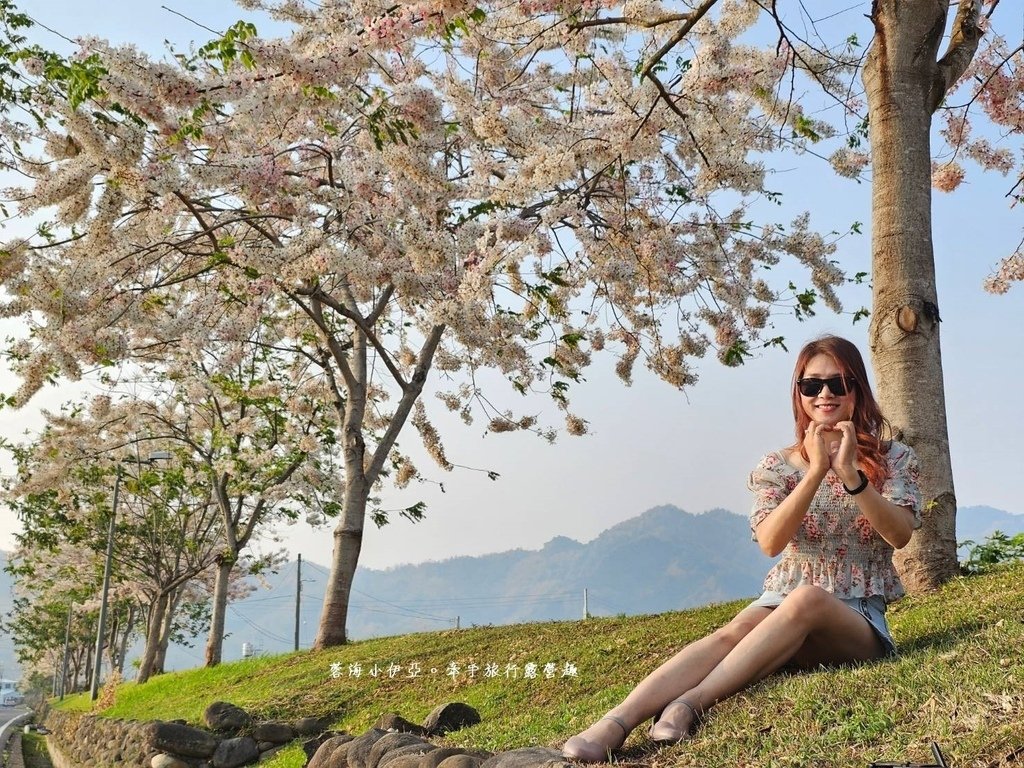高雄【美圳露營區】與【美濃獅子頭水圳驛站】最美花旗木水道，花旗木下露營超浪漫的啦